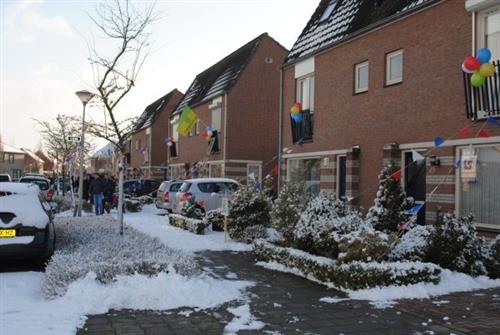 2010-2011.17_Versieren van de Buurt