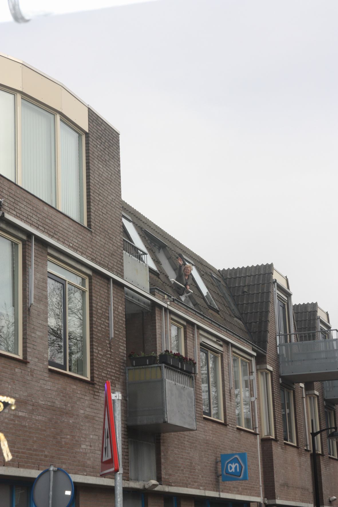 20152016-GeleTulpenSonneHove